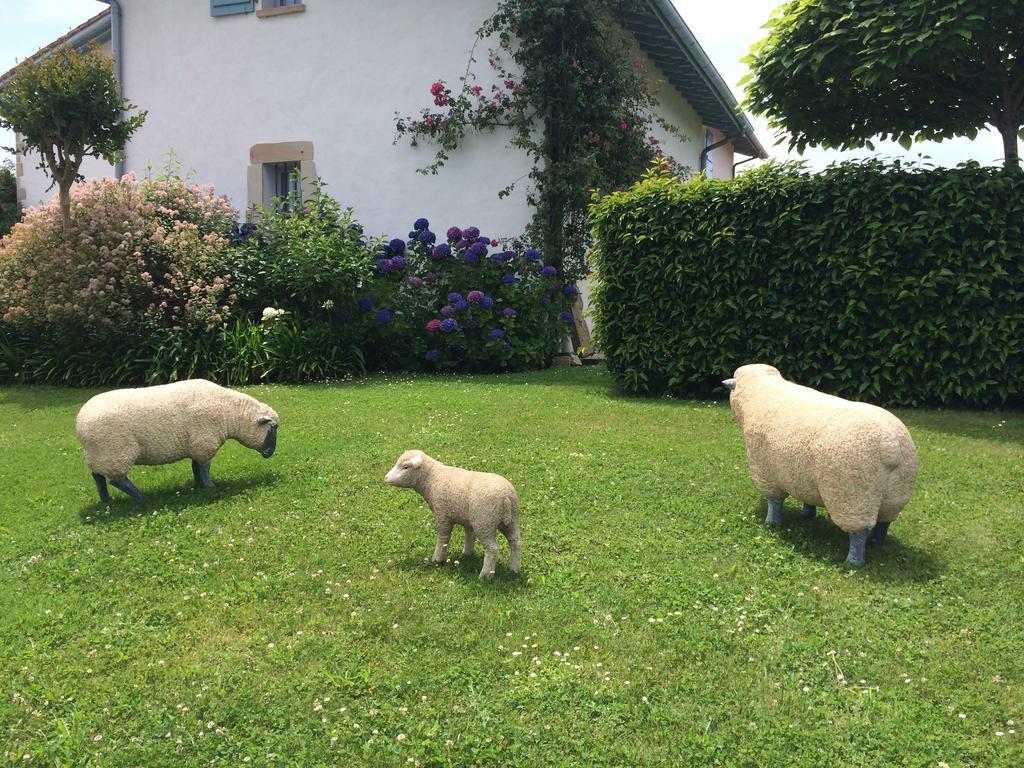 阿尔康格Les Volets Bleus住宿加早餐旅馆 外观 照片